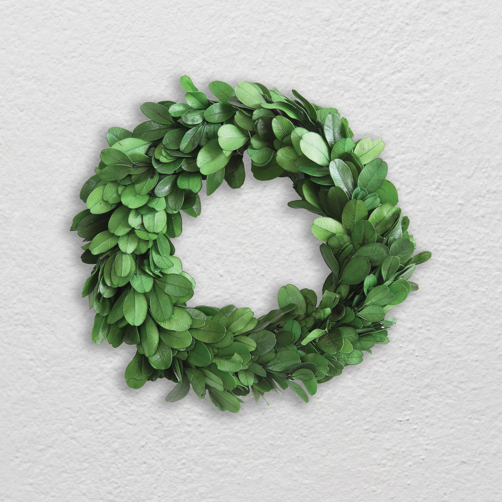 6" Round Preserved Boxwood Wreath
