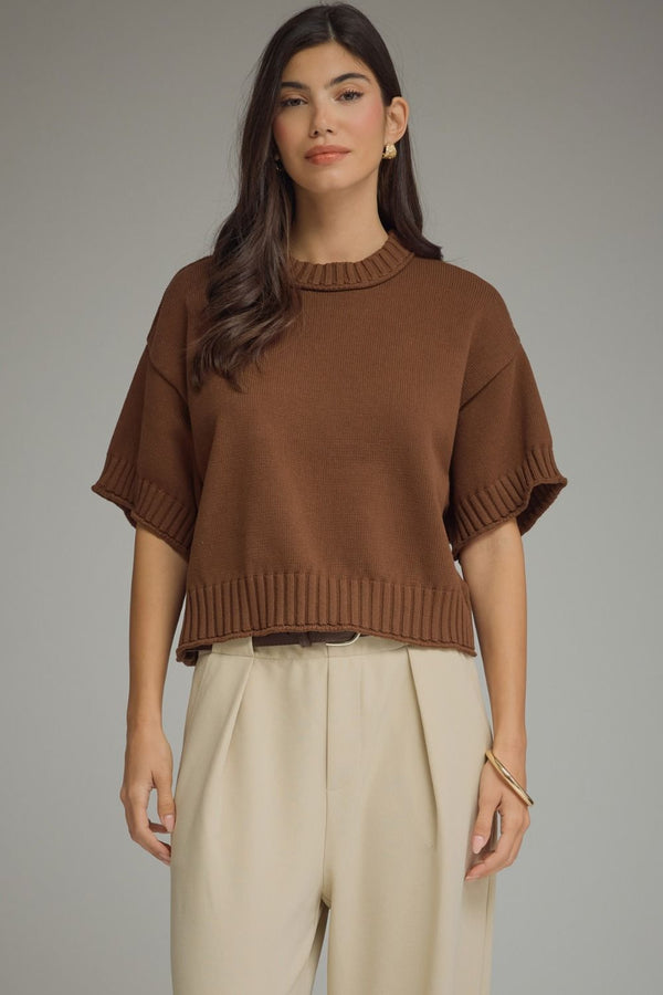 Brown Knit Sweater Top