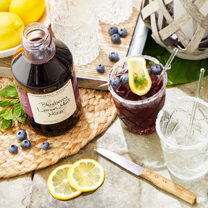 Blueberry Lemon Mint Mixer 24 fl oz
